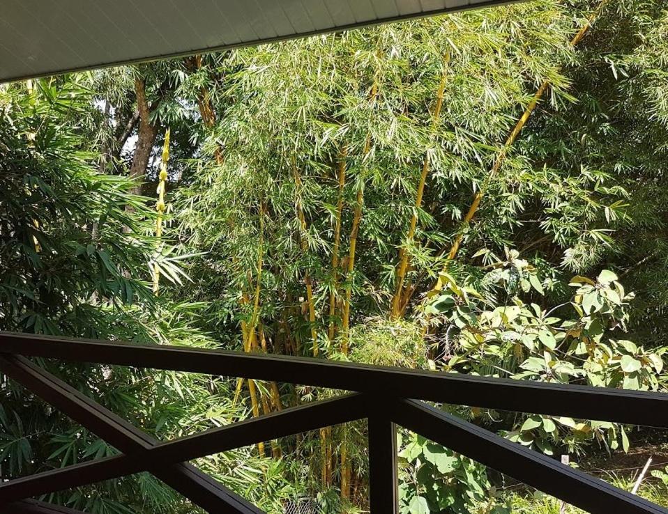 Magic Mountain Lodge Las Lajas  Exterior foto